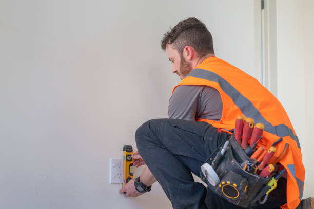 Best Electric Panel Repair  in Senath, MO